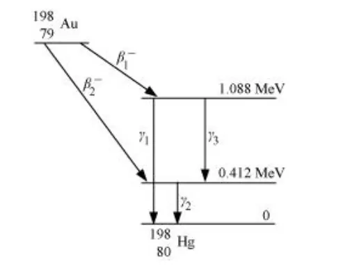 NCERT Solutions for Class 12 Physics Chapter 13 Nuclei PDF Image 1