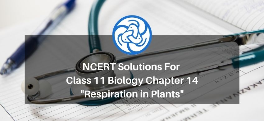NCERT Solutions for Class 11 Biology chapter 14 Respiration in Plants PDF - eSaral