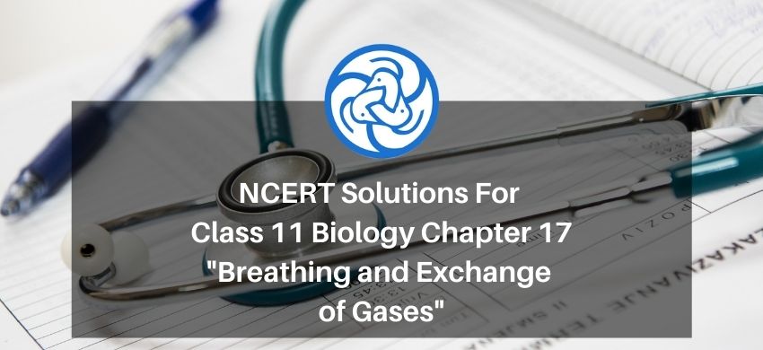 NCERT Solutions for Class 11 Biology chapter 17 Breathing and Exchange of Gases PDF - eSaral