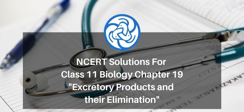 NCERT Solutions for Class 11 Biology chapter 19 Excretory Products and their Elimination PDF - eSaral