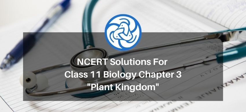 NCERT Solutions for Class 11 Biology chapter 3 Plant Kingdom PDF - eSaral