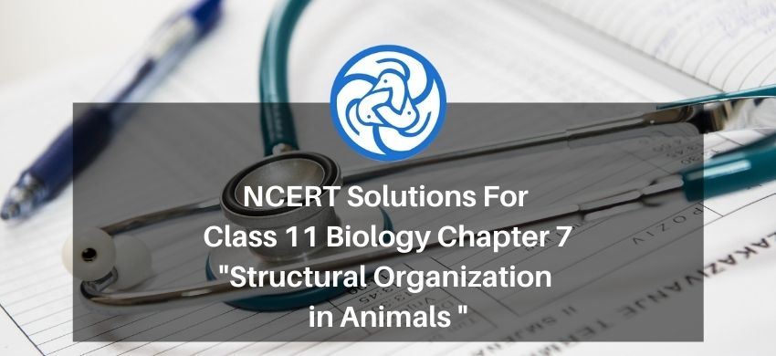 NCERT Solutions for Class 11 Biology chapter 7 Structural Organization in  Animals PDF