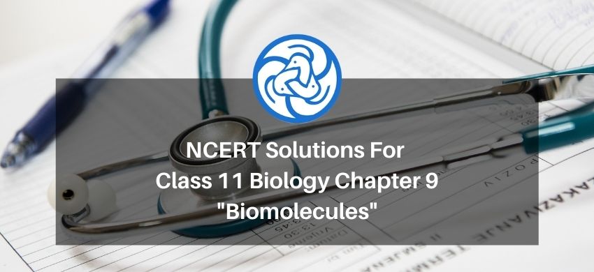 NCERT Solutions for Class 11 Biology chapter 9 Biomolecules PDF- eSaral