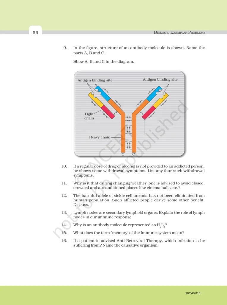 NCERT Exemplar Image 6