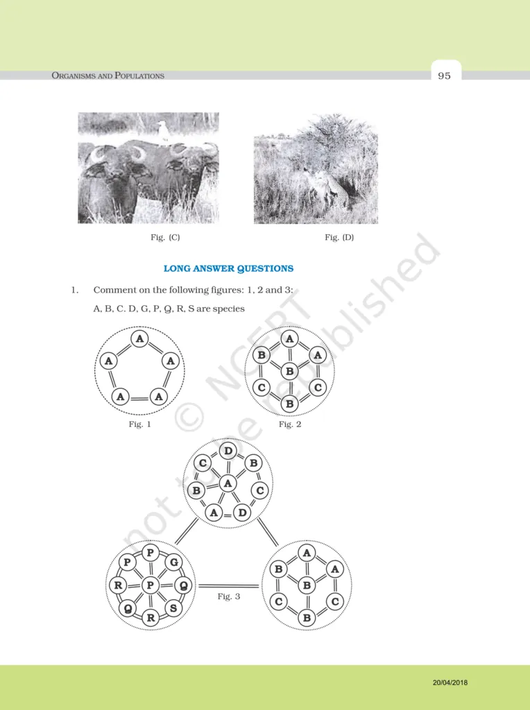 NCERT Exemplar Image 8