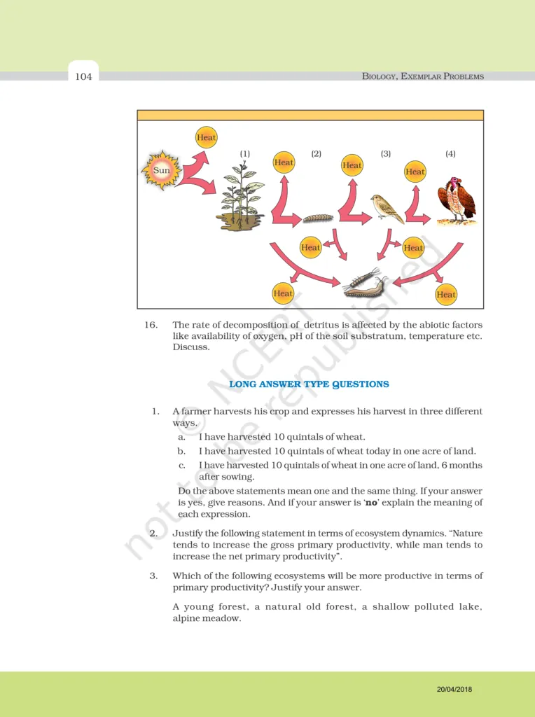 NCERT Exemplar Image 7