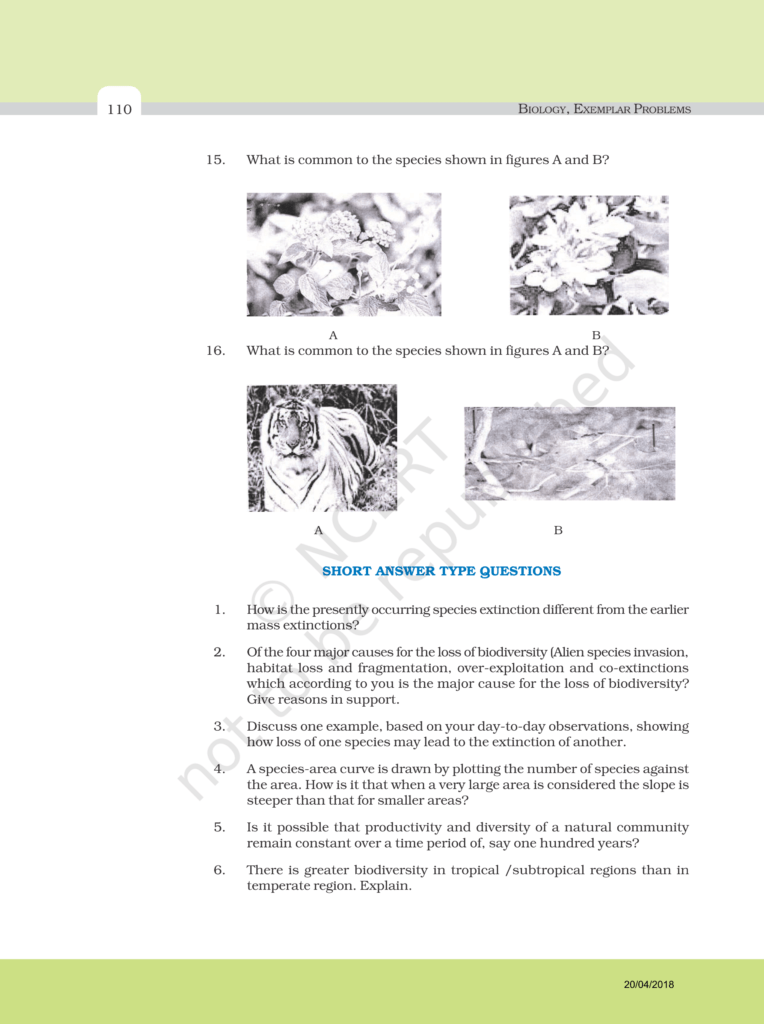 NCERT Exemplar Image 5