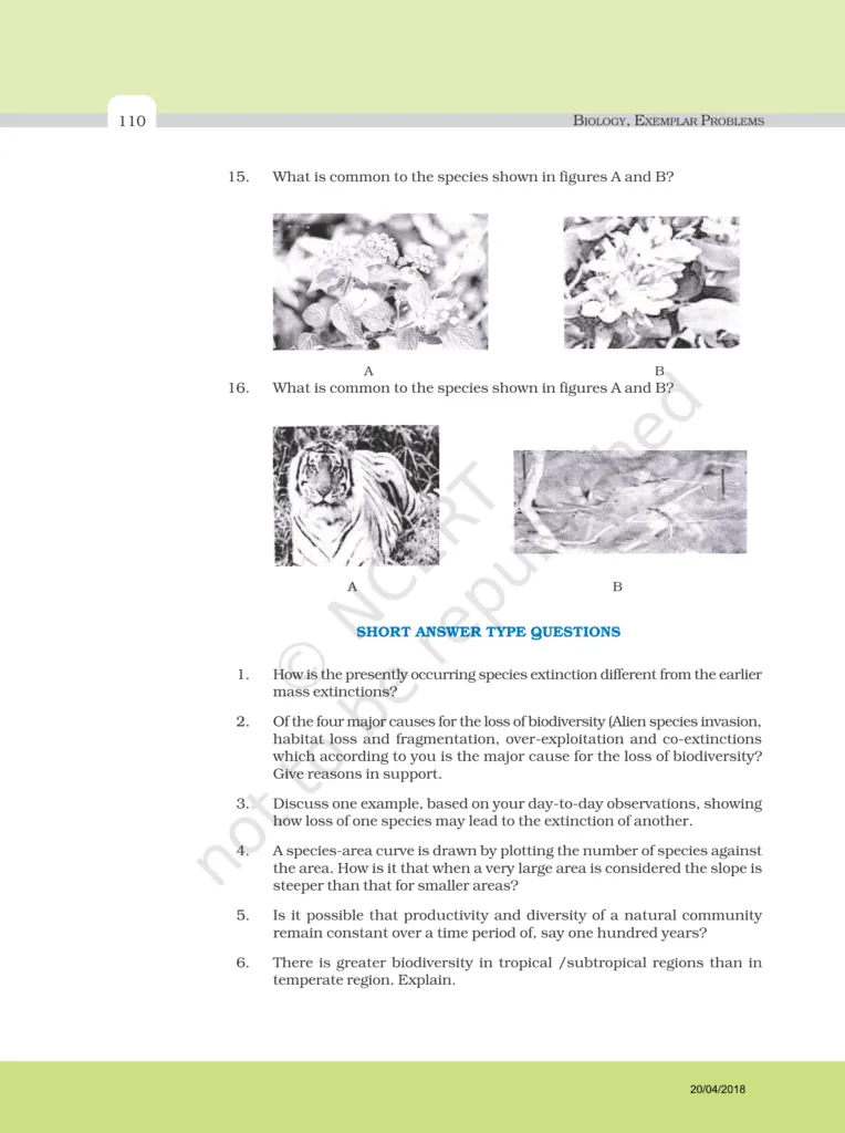 NCERT Exemplar Image 5