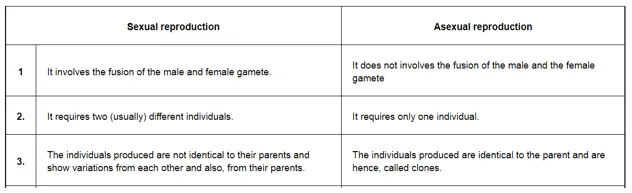 NCERT Solutions for Class 12 Biology Chapter 1 Reproduction in Organism PDF Image 2