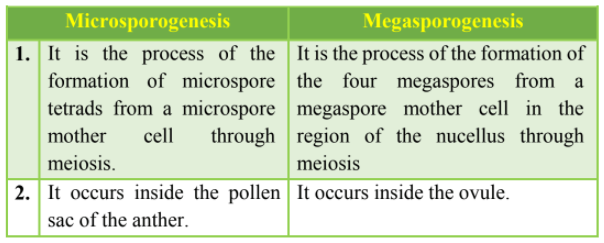 NCERT Solutions for Class 12 Biology Chapter 2 Sexual Reproduction in Flowering Plants PDF Image 1