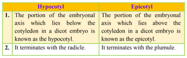 NCERT Solutions for Class 12 Biology Chapter 2 Sexual Reproduction in Flowering Plants PDF Image 4