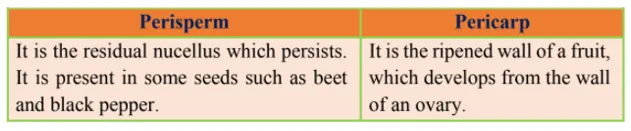 NCERT Solutions for Class 12 Biology Chapter 2 Sexual Reproduction in Flowering Plants PDF Image 7