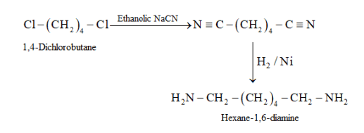 NCERT Solutions for Class 12 Chemistry Chapter 13 Amines PDF Image 11