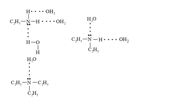 NCERT Solutions for Class 12 Chemistry Chapter 13 Amines PDF Image 12