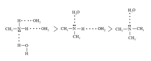 NCERT Solutions for Class 12 Chemistry Chapter 13 Amines PDF Image 13