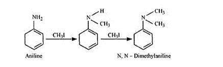 NCERT Solutions for Class 12 Chemistry Chapter 13 Amines PDF Image 14