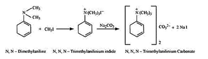 NCERT Solutions for Class 12 Chemistry Chapter 13 Amines PDF Image 15