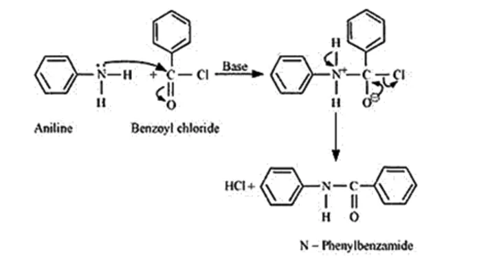NCERT Solutions for Class 12 Chemistry Chapter 13 Amines PDF Image 16