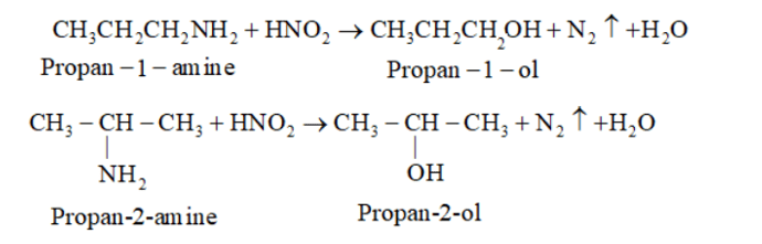 NCERT Solutions for Class 12 Chemistry Chapter 13 Amines PDF Image 19