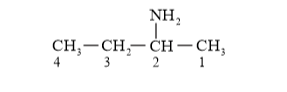 NCERT Solutions for Class 12 Chemistry Chapter 13 Amines PDF Image 4