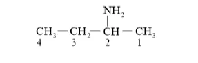 NCERT Solutions for Class 12 Chemistry Chapter 13 Amines PDF Image 4