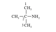 NCERT Solutions for Class 12 Chemistry Chapter 13 Amines PDF Image 6