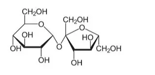 NCERT Solutions for Class 12 Chemistry Chapter 14 Biomolecules PDF Image 2