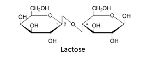 NCERT Solutions for Class 12 Chemistry Chapter 14 Biomolecules PDF Image 3