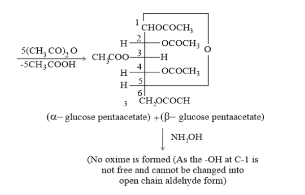 NCERT Solutions for Class 12 Chemistry Chapter 14 Biomolecules PDF Image 7