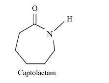 NCERT Solutions for Class 12 Chemistry Chapter 15 Polymers PDF Image 7