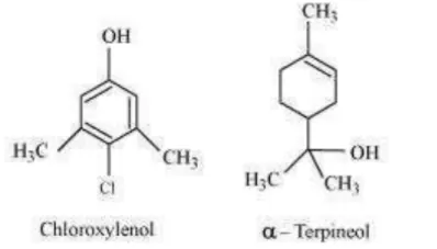 NCERT Solutions for Class 12 Chemistry Chapter 16 Chemistry in Everyday Life PDF Image 2