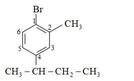 NCERT Solutions for Class 12 Chemistry Chapter 10 Haloalkanes and Haloarenes PDF Image 7