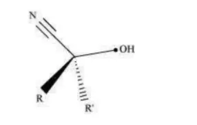 NCERT Solutions for Class 12 Chemistry Chapter 12 Aldehydes Ketones and Carboxylic Acids PDF Image 1