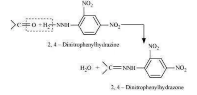 NCERT Solutions for Class 12 Chemistry Chapter 12 Aldehydes Ketones and Carboxylic Acids PDF Image 15