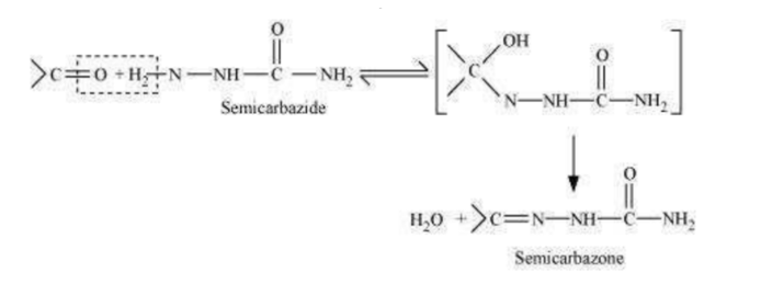 NCERT Solutions for Class 12 Chemistry Chapter 12 Aldehydes Ketones and Carboxylic Acids PDF Image 5