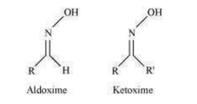 NCERT Solutions for Class 12 Chemistry Chapter 12 Aldehydes Ketones and Carboxylic Acids PDF Image 9