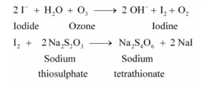 NCERT Solutions for Class 12 Chemistry Chapter 7 The P Block Elements PDF Image 10