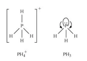 NCERT Solutions for Class 12 Chemistry Chapter 7 The P Block Elements PDF Image 3