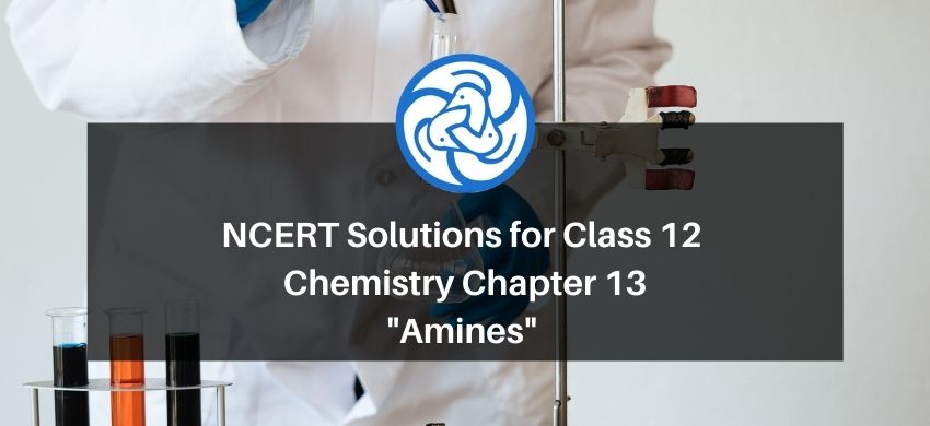 NCERT Solutions for Class 12 Chemistry Chapter 13 Amines PDF - eSaral