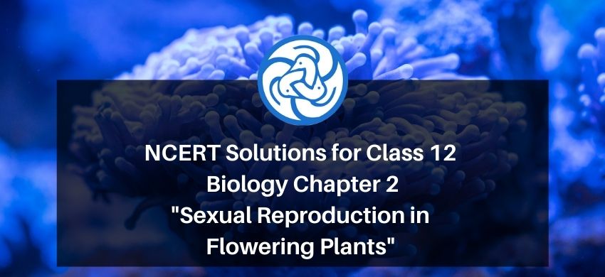 NCERT Solutions for Class 12 Biology Chapter 2 Sexual Reproduction in Flowering Plants PDF - eSaral