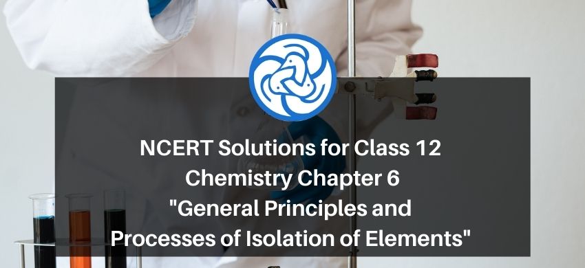 NCERT Solutions for Class 12 Chemistry Chapter 6 General Principles and processes of isolation of elements PDF - eSaral