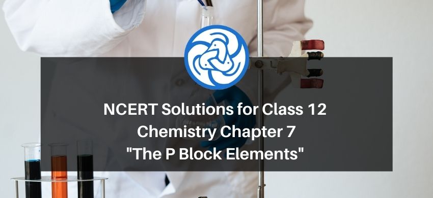 NCERT Solutions for Class 12 Chemistry Chapter 7 The P Block Elements PDF - eSaral