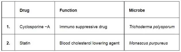 NCERT Solutions for Class 12 Biology Chapter 10 Microbes in Human Welfare PDF Image 4