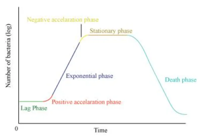 NCERT Solutions for Class 12 Biology Chapter 13 Organisms and Populations PDF Image 3