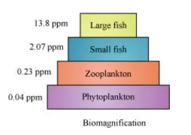 NCERT Solutions for Class 12 Biology Chapter 16 Environmental Issues PDF Image 3