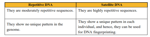 NCERT Solutions for Class 12 Biology Chapter 6 Molecular Basic of Inheritance PDF Image 3