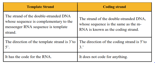 NCERT Solutions for Class 12 Biology Chapter 6 Molecular Basic of Inheritance PDF Image 6