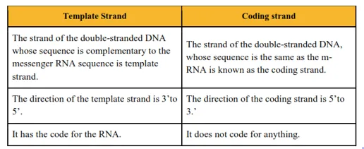 NCERT Solutions for Class 12 Biology Chapter 6 Molecular Basic of Inheritance PDF Image 6