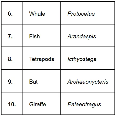 NCERT Solutions for Class 12 Biology Chapter 7 Evolution PDF Image 5