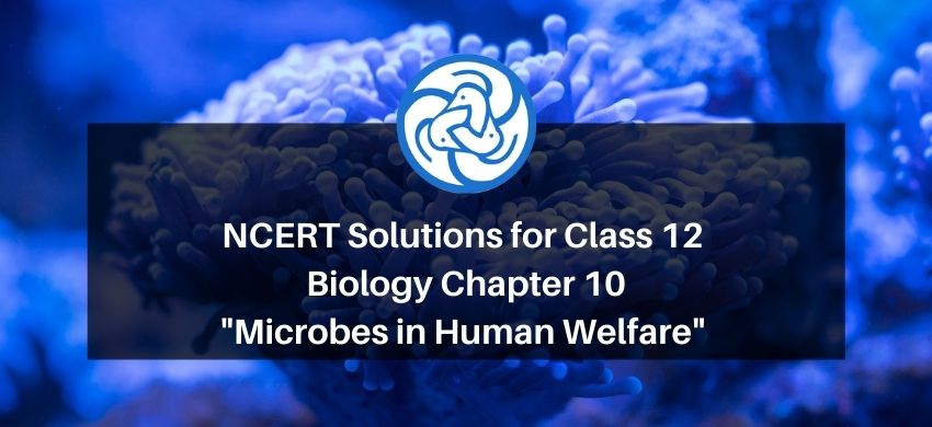 NCERT Solutions for Class 12 Biology Chapter 10 Microbes in Human Welfare PDF - eSaral
